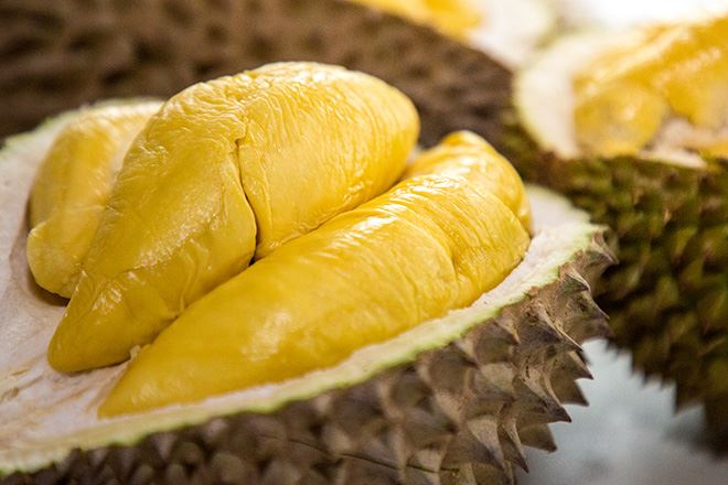 Durian Fruit