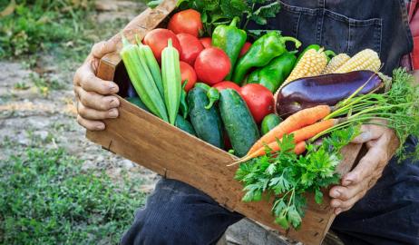Γιατί τα βιολογικά λαχανικά πρέπει να αποτελούν μέρος της διατροφής μας