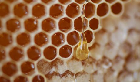 Το μέλι και τα γλυκύσματα των αρχαίων Ελλήνων