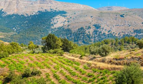 Ελληνική φύση και γεωργία, με το βλέμμα στο μέλλον