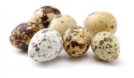 Αυγά ορτυκιού, μικροσκοπικοί γίγαντες διατροφικής αξίας