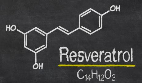 Ρεσβερατρόλη το όνομα του αντιοξειδωτικού που χαρίζει μακροζωία