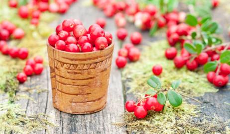 Lingonberries, τα κόκκινα μούρα που καταπολεμούν το λίπος