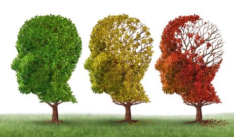 Η κακή διατροφή συμβάλλει στην ανάπτυξη του Alzheimer