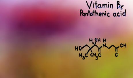 Οφέλη και πηγές της βιταμίνης Β5