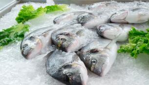 Γιατί τα κατεψυγμένα ψάρια μπορεί να είναι καλύτερα από τα φρέσκα