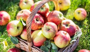 Ενδιαφέροντα διατροφικά - και όχι μόνο- στοιχεία που πιθανώς δεν ξέρετε για τα μήλα