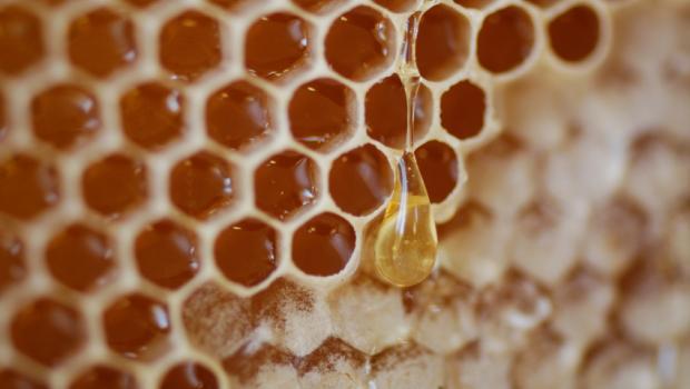 Το μέλι και τα γλυκύσματα των αρχαίων Ελλήνων