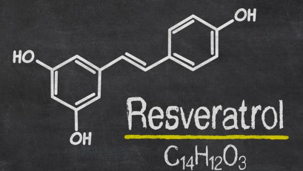 Ρεσβερατρόλη το όνομα του αντιοξειδωτικού που χαρίζει μακροζωία