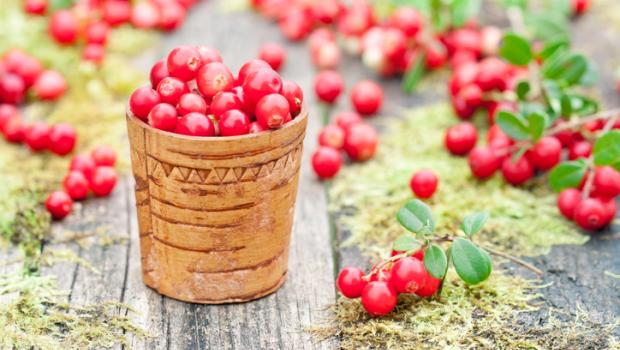 Lingonberries, τα κόκκινα μούρα που καταπολεμούν το λίπος